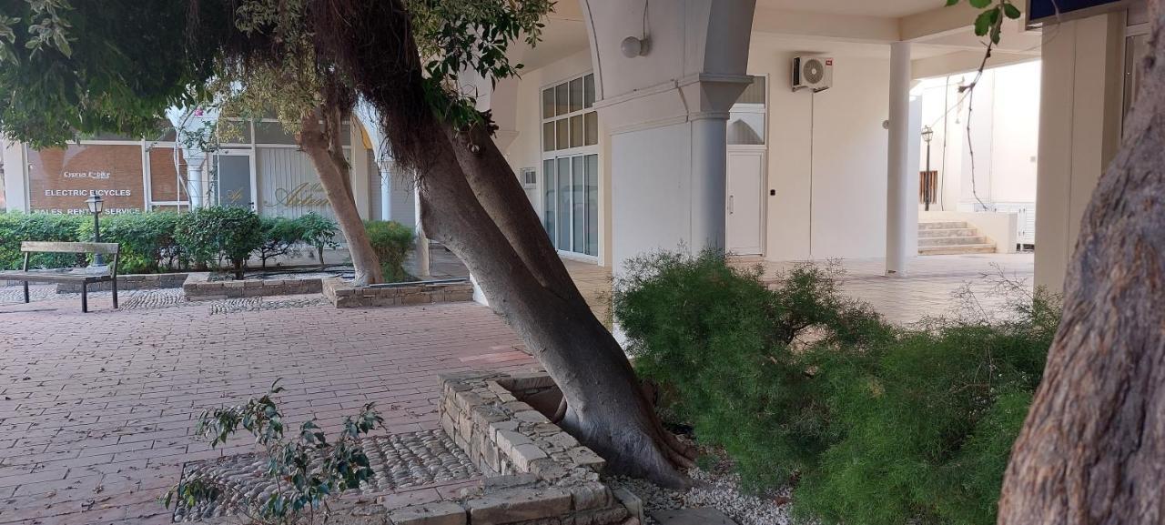 Eleantre Holiday Apartments Πάφος Εξωτερικό φωτογραφία